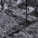 Hoogpolig vloerkleed NAVARRA 240x240 cm polyester donkergrijs