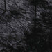 Hoogpolig vloerkleed NAVARRA 300x200 cm polyester zwart