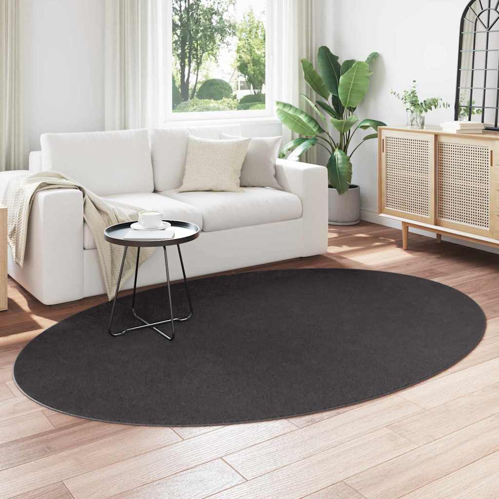 Vloerkleden Ovaal HUARTE Antraciet 160 x 230 cm 100% Polyester