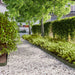 Gazonranden 10 st 10x103 cm koudgewalst staal olijfgroen