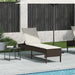 Ligstoel met kussen bruin 55x200x44cm polyrotan