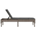 Ligstoel met kussen grijs 55x200x44cm polyrotan