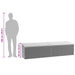 Tuinbox 220x50x58 cm poly rattan lichtgrijs