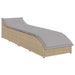 Ligstoel inklapbaar met kussen opbergruimte poly rattan beige