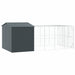 Vogelkooi Antraciet 635 x 304 x 247 cm Gegalvaniseerd staal