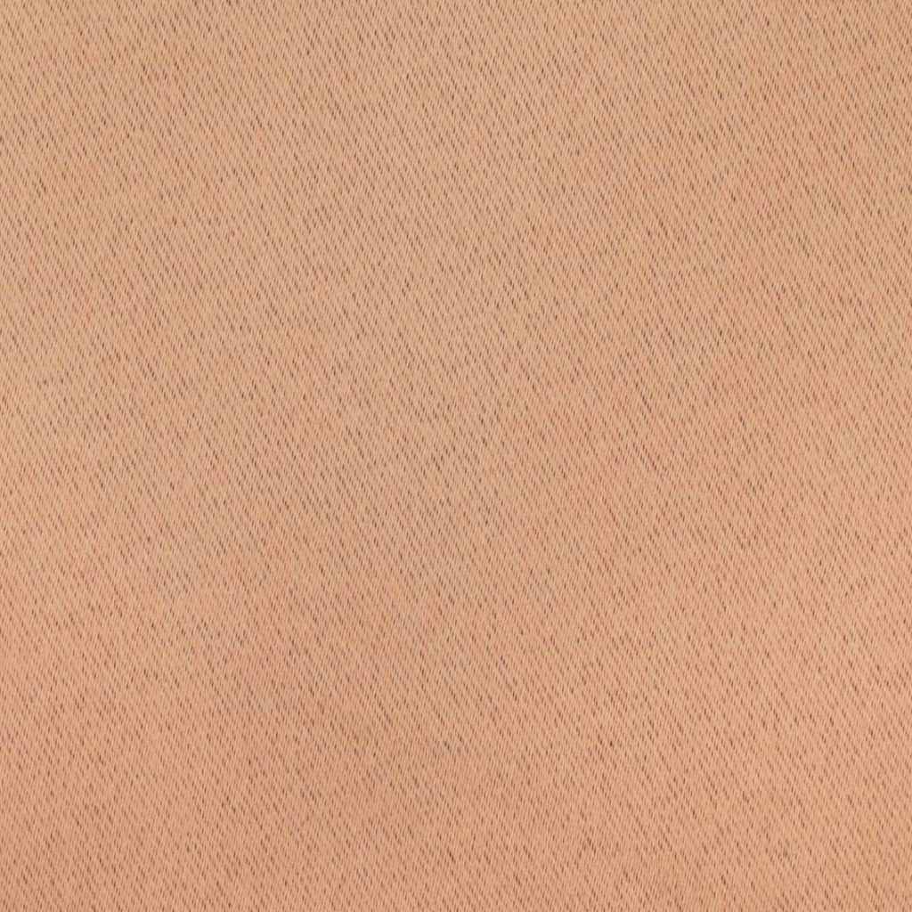 Zwart-out Gordijnen met Ringen 2 st Licht Bruin 245 x 140 cm
