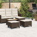 Tuinkrukken met kussens 2 st 55x55x36 cm poly rattan bruin