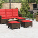 Tuinkrukken met kussens 2 st 55x55x36 cm poly rattan bruin