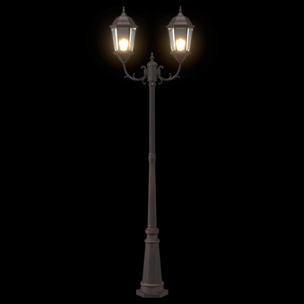 Tuinverlichting Brons 68 x 20 x 235 cm Aluminium en Glas
