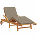 Ligstoel Taupe 200 x 67 x 84 cm Massief Acaciahout
