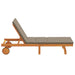 Ligstoel Bruin 199 x 63 x 85 cm Massief Acaciahout