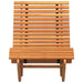 Lounger 2 st Massief Acaciahout Bruin