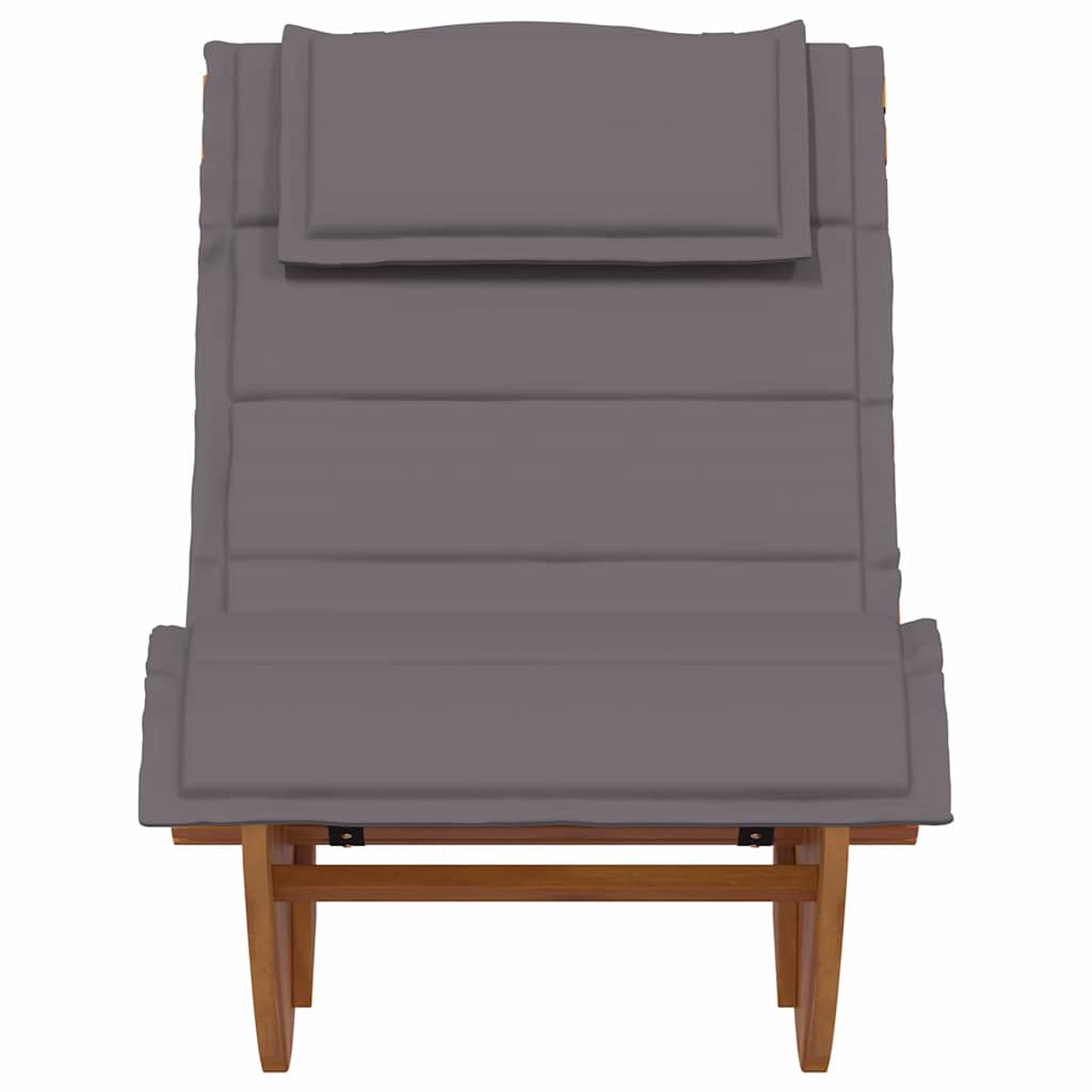 Ligstoel 2 st Massief Acaciahout Bruin