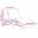 Ligstoel 2 st Massief Acaciahout Rood