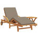 Ligstoel 2 st Massief Acaciahout Taupe
