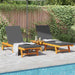 Ligstoel 2 st Massief Acaciahout Bruin