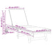 Ligstoel 2 st Massief Acaciahout Bruin