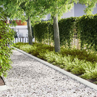 Tuinrand 30 st 100 x 0,05 x 15 cm Koudgewalst staal Wit