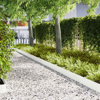 Tuinrand 30 st 100 x 0.05 x 20 cm Koudgewalst staal Wit