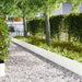 Tuinrand 10 st 100 x 0,05 x 30 cm Koudgewalst staal Wit