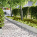 Tuinrand 10 st 100 x 0,05 x 30 cm Roestvrij staal Zilver