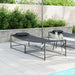 Tuin Zonnebed 2 st Zwart Gepoedercoat staal