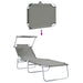 Ligstoel 2 st Polyester Grijs