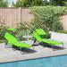 Opvouwbare zonnebed 2 st oxford Groen