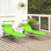 Opvouwbare zonnebed 2 st oxford Groen