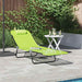 Opvouwbare zonnebed Groen 182 x 55 x 85,5 cm Textileen