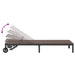 Ligstoel 3 st poly rattan Bruin