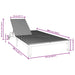 Ligstoel poly rattan Zwart