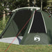 Tunnel Tent 3-Person met dak Groen en Wit 328 x 228 x 115 cm