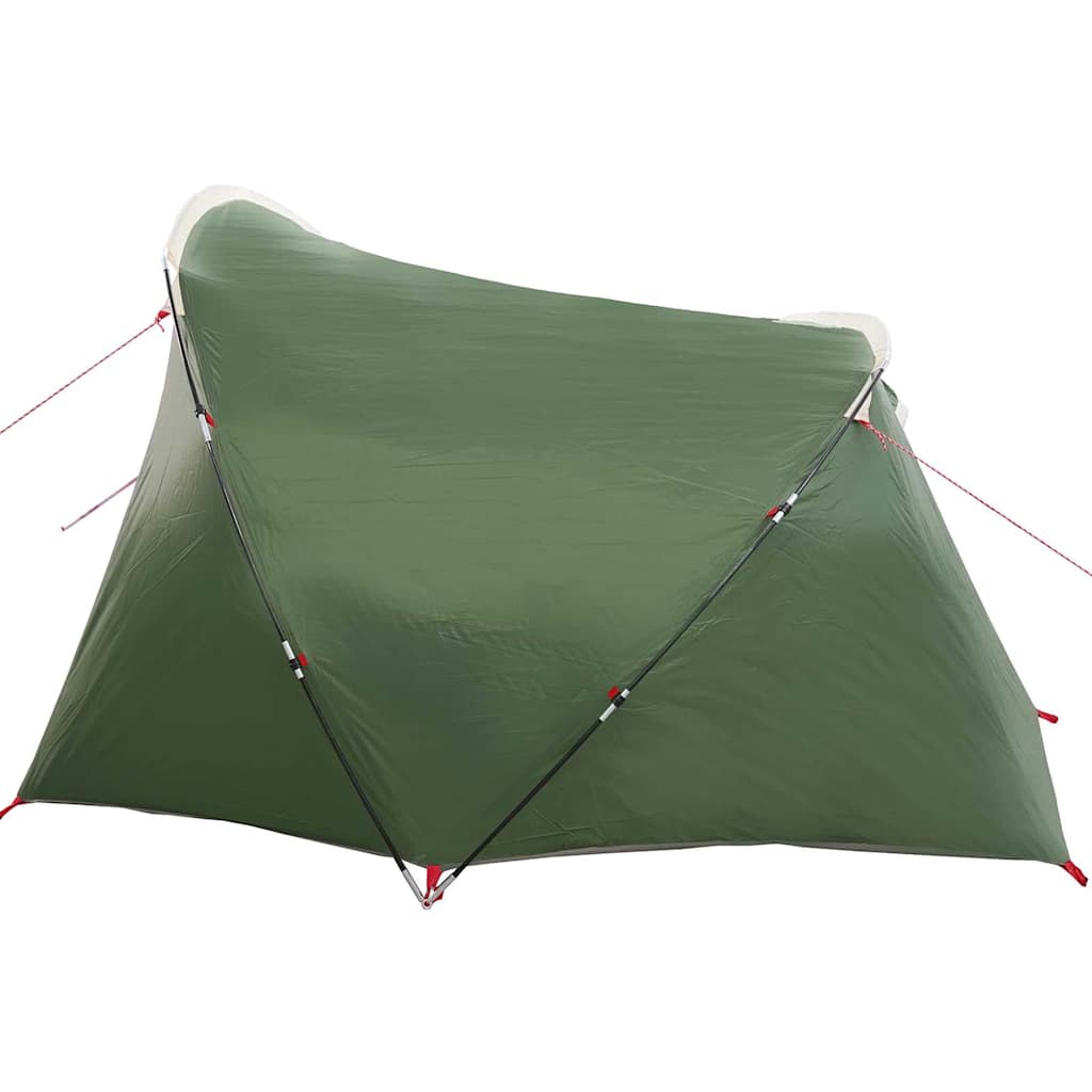 Tunnel Tent 4-Person met dak Groen en Wit 318 x 275 x 140 cm