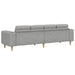 Woonkamer Bank Wolkengrijs 250 x 77 x 76 cm Polyester