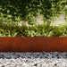 Tuinrand 50 st 100 x 0,05 x 30 cm weervast staal Roestig