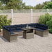 Tuin Sofa Set 11 st Grijs Poly Rattan