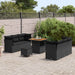 Tuin Sofa Set met kussen 9 pcs Zwart poly rattan