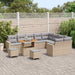 Tuinbankenset 13 st 10-Aantal zitplaatsen Beige en Licht Grijs