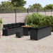 Tuin Sofa Set met kussen 11 pcs Zwart poly rattan