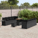 Tuin Sofa Set met kussen 11 pcs Zwart poly rattan
