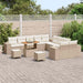 Tuin Sofa Set 13 st Beige en Crème poly rattan