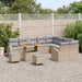 Tuin Sofa Set 12 st 11-Aantal zitplaatsen Beige en Licht Grijs