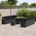 Tuinbankenset 12 st 10-Aantal zitplaatsen Zwart poly rattan
