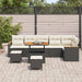 Tuin Sofa Set met kussen met opslag Zwart Poly riet