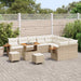 Tuinbankenset met kussen 13 pcs Beige en Crème poly rattan
