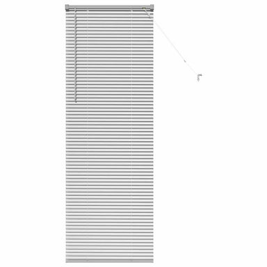 Venetiaanse jaloezieën Zilver 175 x 55 cm Aluminium