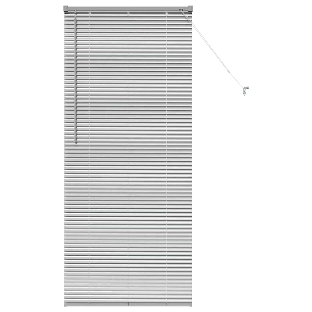 Venetiaanse jaloezieën Zilver 175 x 80 cm Aluminium