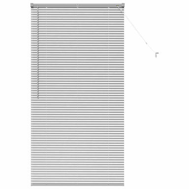 Venetiaanse jaloezieën Zilver 175 x 90 cm Aluminium