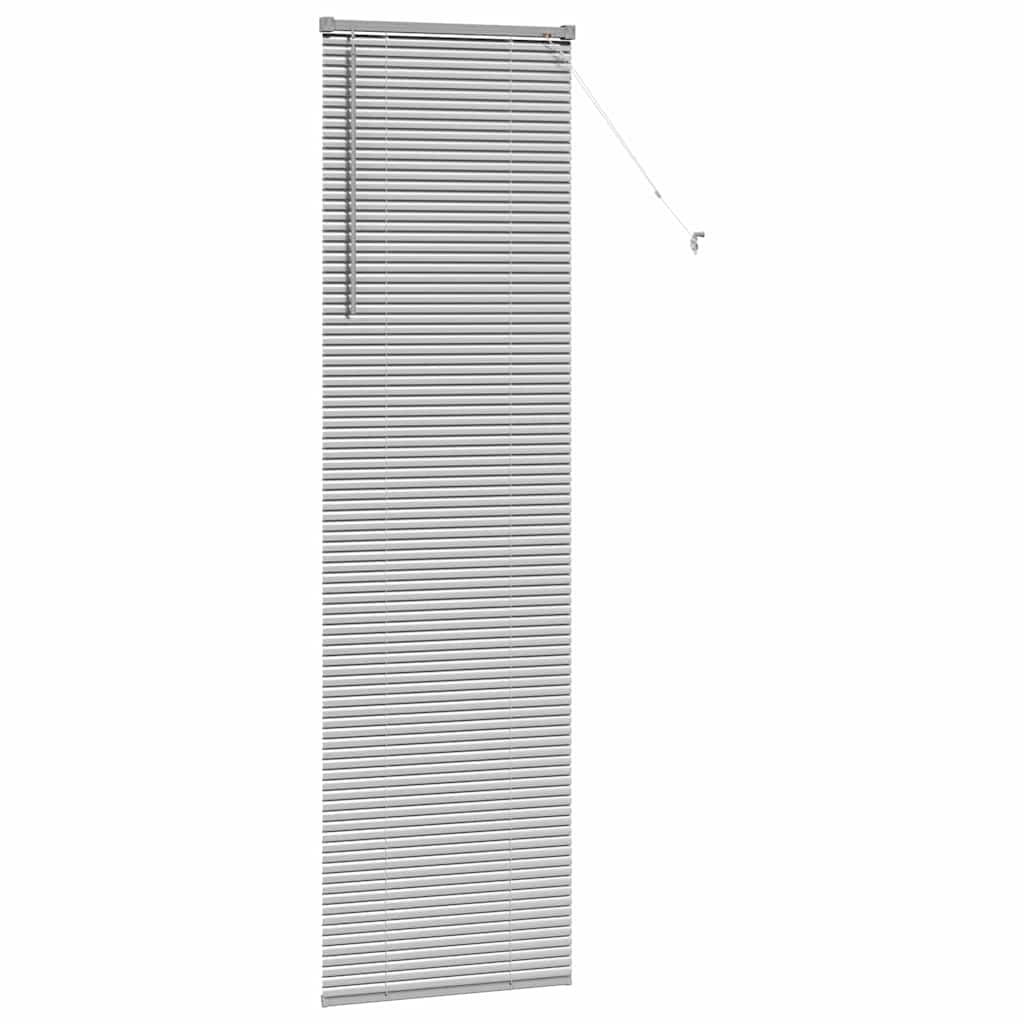 Venetiaanse jaloezieën Zilver 220 x 55 cm Aluminium